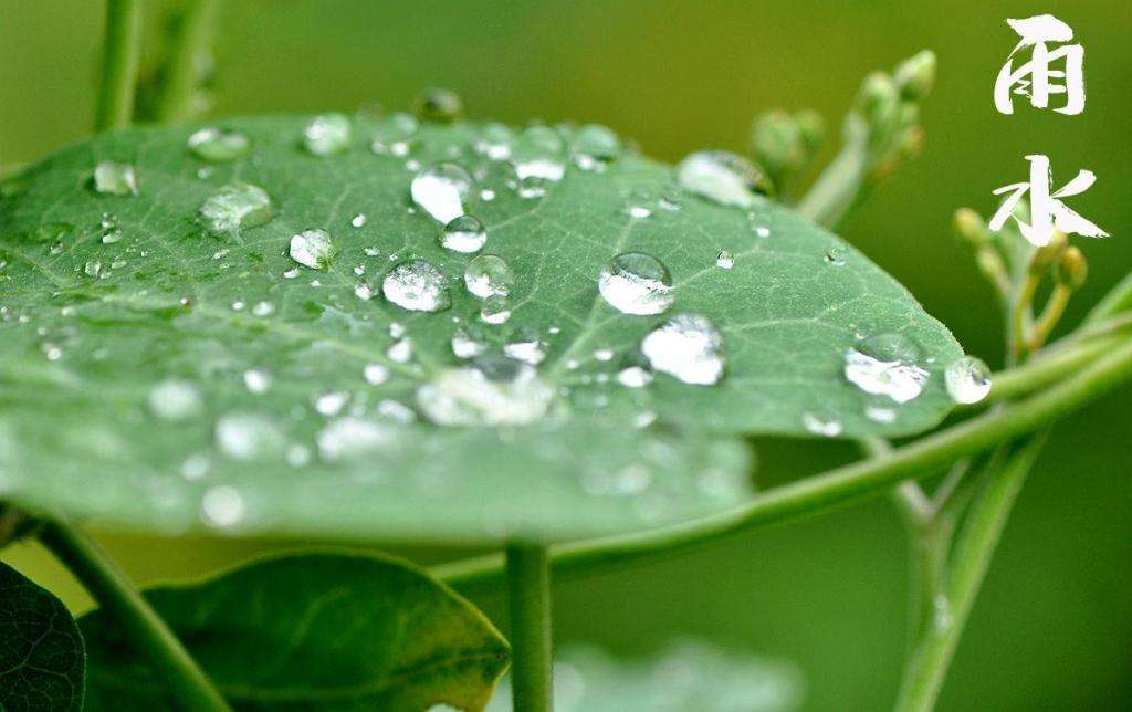 雨水潤(rùn)萬(wàn)物，兼顧沙與泥！